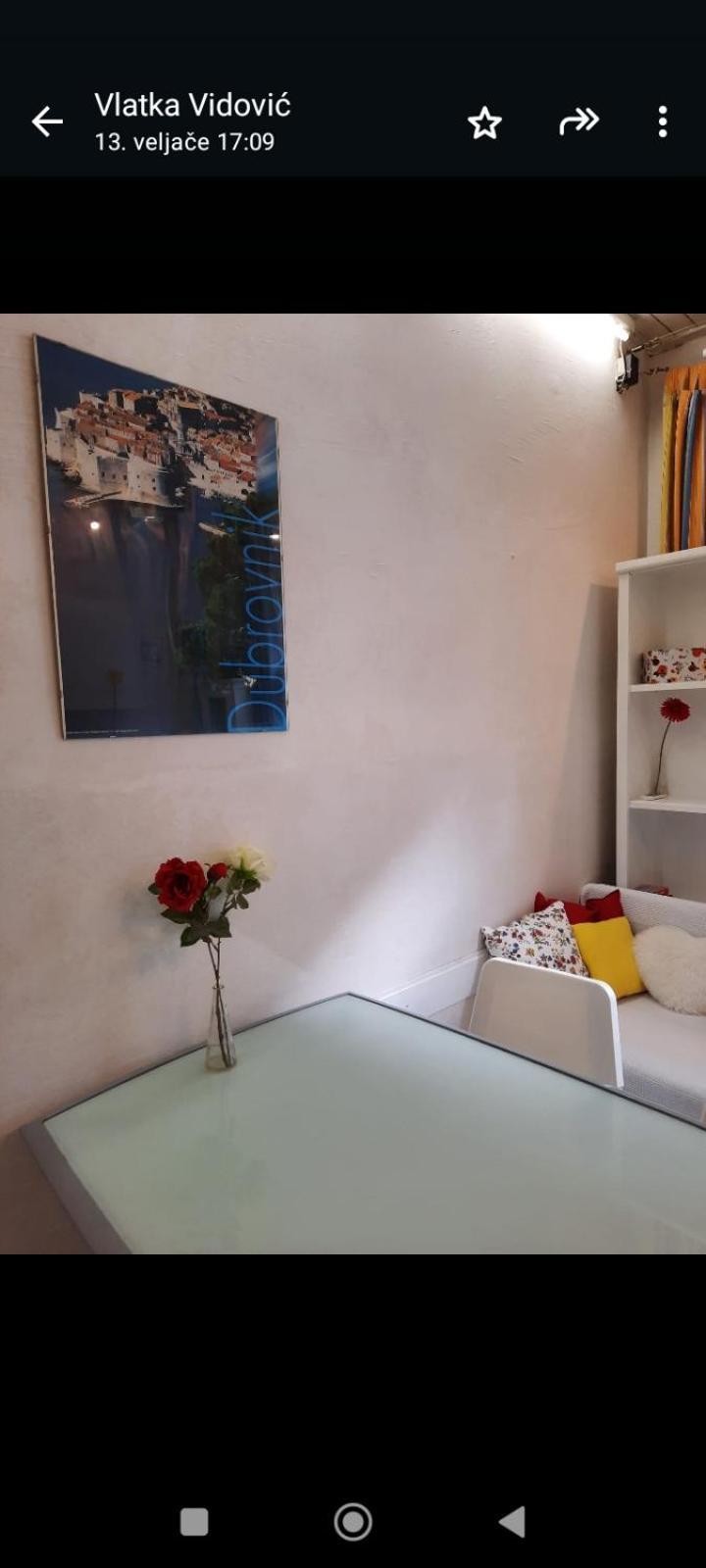 Apartment Youth Vita Ζάγκρεμπ Εξωτερικό φωτογραφία